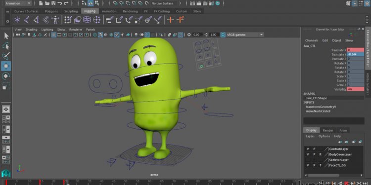 Animation - Online Courses