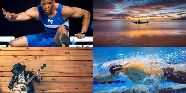 Multimedia management software