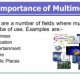 Importance of Multimedia Technology