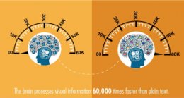 the brain process visual information 60, 000 times faster