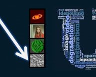 Image Processing in Multimedia