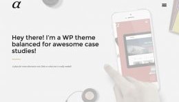 WordPress portfolio themes - Alpha