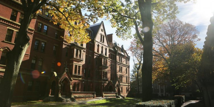 Multimedia production software