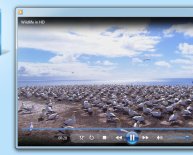 Windows Multimedia Player free Download